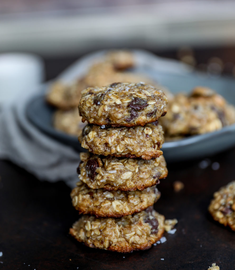 healthy trail mix camping cookies